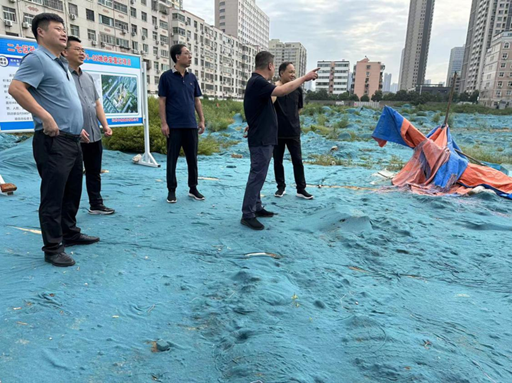 华体会手机网页版-华体会(中国)
党委委员、副总经理张岩到侯寨新镇区安置区调研项目建设工作